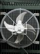large industrial fan