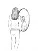 Girl near the mirror