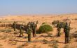Israeli soldiers excersice in a desert
