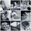 Collage of nine wedding photos