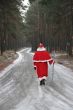 Santa Claus coming along deep forest road