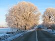 winter road