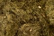 Hay stack closeup