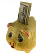 Golden piggy bank with 100 dollar