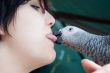 young woman holding a grey parrot
