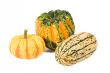 Winter Squash