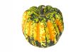 Carnival Winter Squash