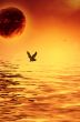 Another world