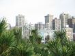 vancouver city view