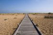Boardwalk