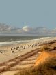 Rotes Kliff in Kampen, Sylt, Germany