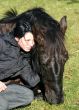 horse laid down and teen