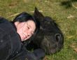 horse laid down and teen