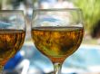 beer glasses close up in a tropical layout