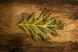 autumn leaf over old board