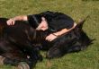 horse laid down and teen