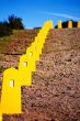 Yellow restrictive posts in Madeira