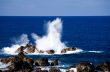 Madeira coast