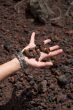 hand with little stones