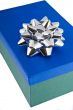 Christmas package adorned with bow
