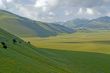 Landscape of Piana di Castelluccio