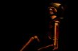 Skeleton Lurking