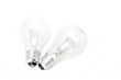 bulbs
