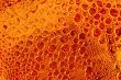 Bubbles