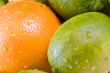 fresh fruit