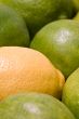 fresh fruit