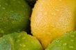 fresh fruit