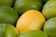 fresh fruit