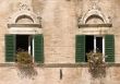 Ascoli - Windows with flowers of historic palace