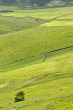 Piana di Castelluccio - Landscape