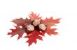 Three chestnuts and leaves.