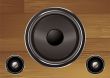 wood grain speaker