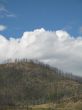 mountain after a forest fire
