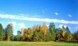 Autumn landscape in nice day