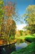 Autumn trees near the river vertical
