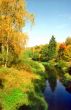Splendor of autumn nature