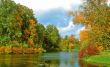 Intensive colors of autumn landscape
