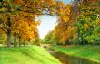Autumn view of the stone bridge