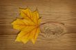 autumn leaf over old board