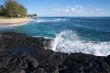 Tropical Shoreline