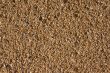 Trapical Sand Background