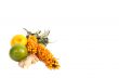 Sea-buckthorn,lemons and ginger.