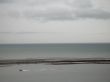 grey ocean with logs