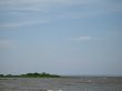 island in the middle of the river