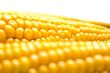 corn background