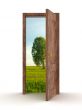 Landscape behind the open door. 3D image